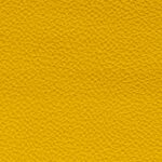 Amarelo | 10171