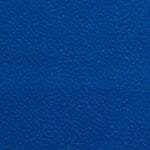 Azul Royal | 1995