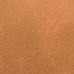 Camel | 17586