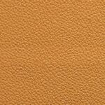 Camel | 5561