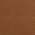Camel R02 | 10153