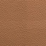 Caramelo | 5477