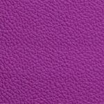 Violeta Huracan | 10676